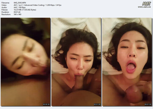 來自 AsianScandal.Net 的亞洲 SexTape 醜聞第 3 卷
